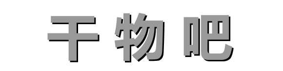 男哥1.0+2.0-小白项目网
