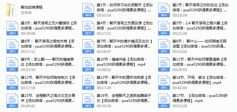 路易团队《聊法》聊天课-小白项目网