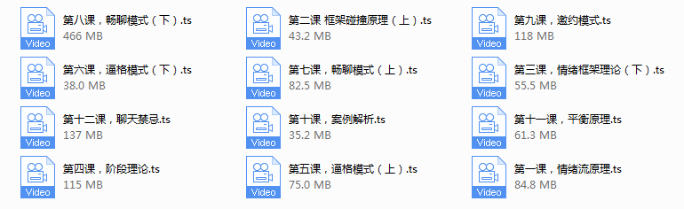 情叔叔《情绪流聊天》-小白项目网